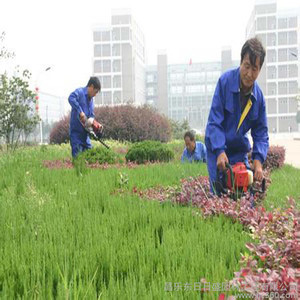 園林景觀綠化,園林景觀施工,市政工程,-產品列表-慧聰網商