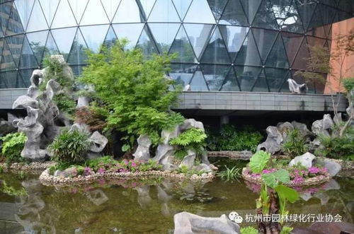 2016年度杭州市優(yōu)秀園林綠化工程綜合組金獎 杭州國際博覽中心項(xiàng)目屋面園林綠化工程