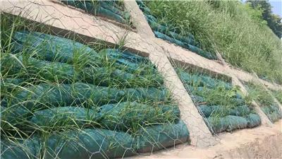 00元/千克南昌荒山植草復(fù)綠植生袋綠化護(hù)坡施工廈門三水園林綠化工程