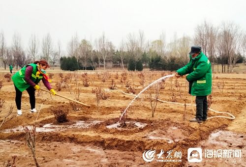 青州市園林綠化和環衛中心 壓實疫情防控安全線 拉緊綠化養護進度條