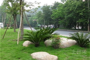 城市園林綠化工程施工及驗(yàn)收規(guī)范 對(duì)城市發(fā)展的意義