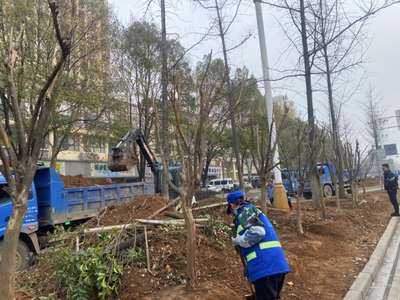 市園林和市政公用設(shè)施管護(hù)中心啟動(dòng)市長(zhǎng)虹大道綠化提升改造工程