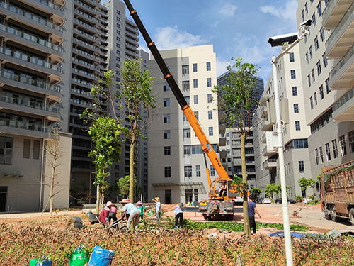 園林綠化的施工要點(diǎn)