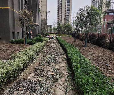 亳州綠化養(yǎng)護工程