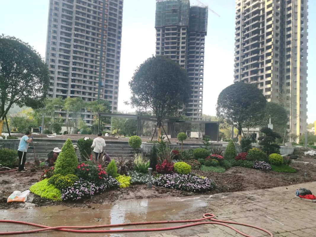 地產(chǎn)項目大門入口節(jié)點花境設(shè)計施工~#園林綠化工程 #施工現(xiàn)場