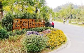 楚雄考個草坪工證和培訓考試知識流程已公布