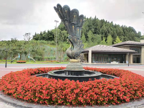 綠雕仿真造型設計在體育場地設施工程中的應用