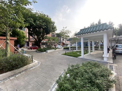 厚街鎮積極推進園林綠化品質提升工程，5個口袋公園建成落地