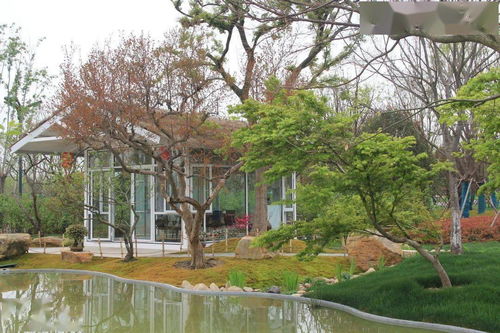 綠化行業(yè)王者之路 從園林施工到體育場地綠化全解析